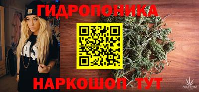 стаф Бузулук