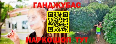 стаф Бузулук