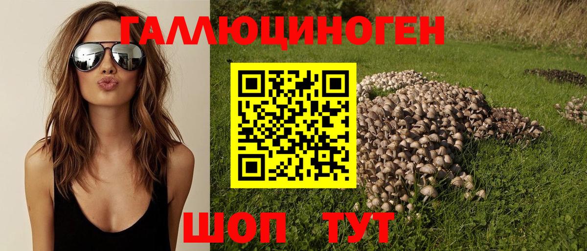 Галлюциногенные грибы MAGIC MUSHROOMS  Псилоцибиновые грибы мицелий  Вход с VPN  Прокопьевск 