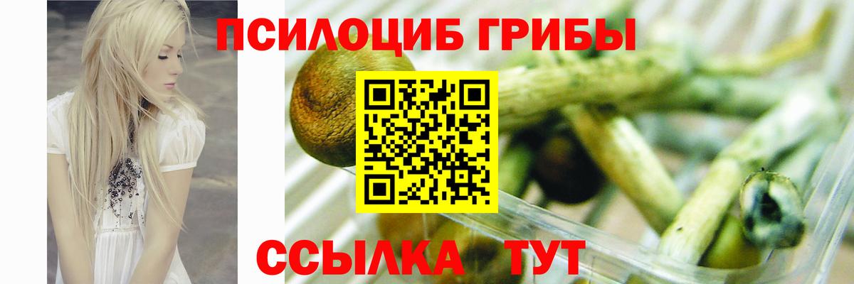 Галлюциногенные грибы мухоморы Прокопьевск
