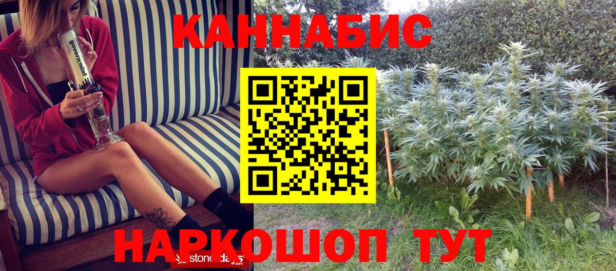 Бошки Шишки планчик Прокопьевск